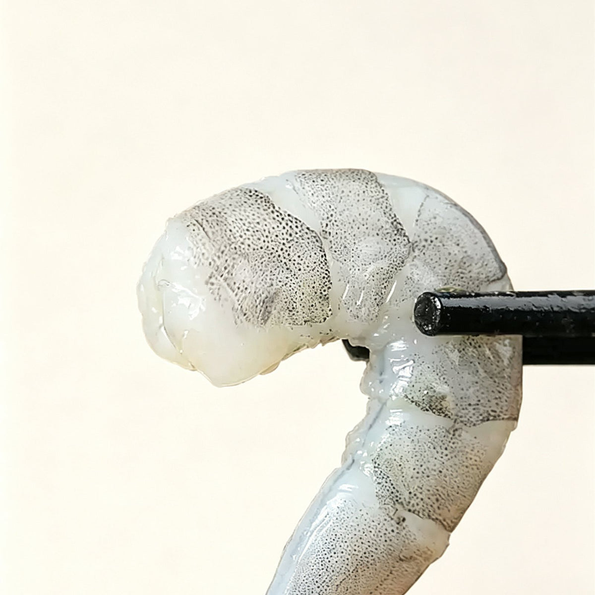 img2.jpg