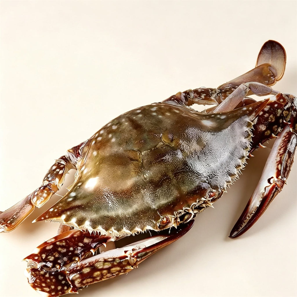 img1.jpg